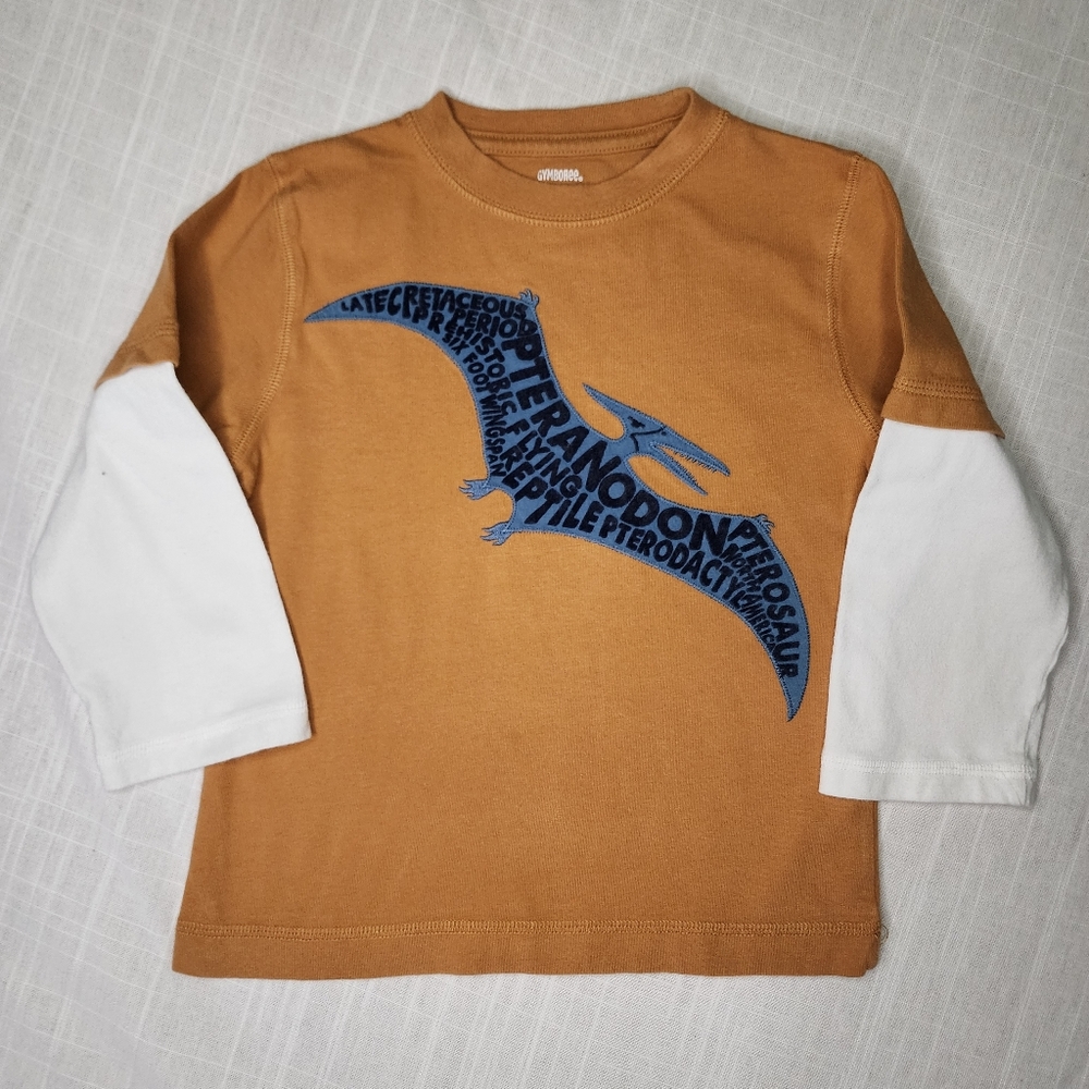 Gymboree Boys Long Sleeve Top Size 3